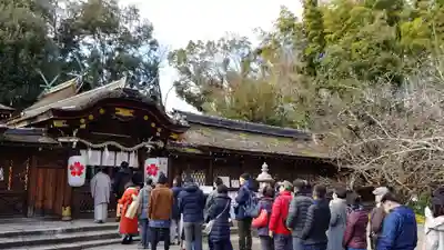 平野神社の初詣