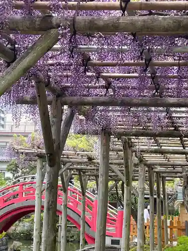 亀戸天神社の庭園