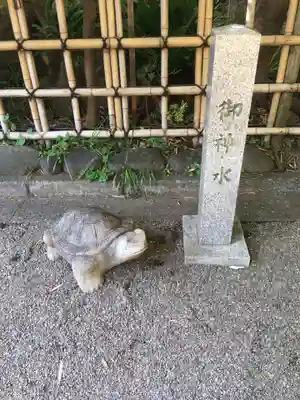 大宮八幡宮の狛犬