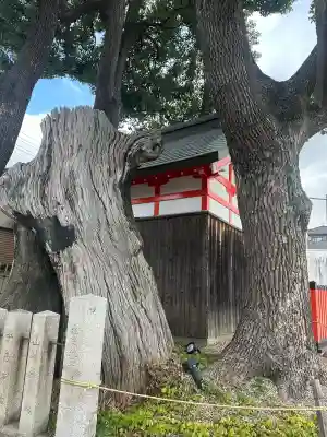 姫嶋神社の{uncategorized: "未分類", other: "その他", undefined: "問題あり", building: "その他建物", grave: "お墓", sacred_gate: "鳥居", guardian: "狛犬", statue: "像", buddha: "仏像", history: "歴史", nature: "自然", garden: "庭園", animal: "動物", pagoda: "塔", temizu: "手水舎", mountain_gate: "山門・神門", sanctuary: "本殿・本堂", subordinate: "末社・摂社", art: "芸術", scenery: "景色", jizo: "地蔵", ema: "絵馬", goshuin: "御朱印", omikuji: "おみくじ", items: "授与品その他", amulet: "お守り", goshuincho: "御朱印帳", eats: "食事", festival: "お祭り", votive_dance: "神楽", shichigosan: "七五三参", wedding: "結婚式", experience: "体験その他", initially: "初詣", around: "周辺", anti_infection: "感染症対策"}