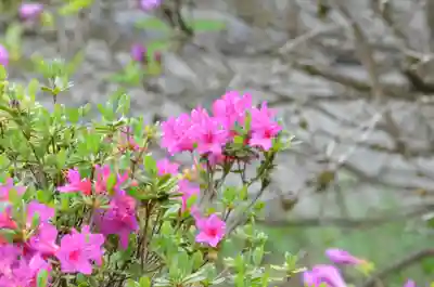 塩船観音寺(東京都)