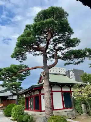 善明寺(東京都)