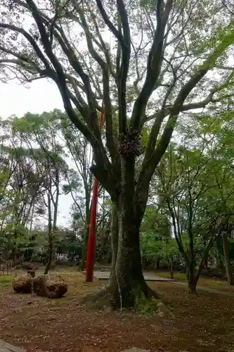 向日神社の庭園