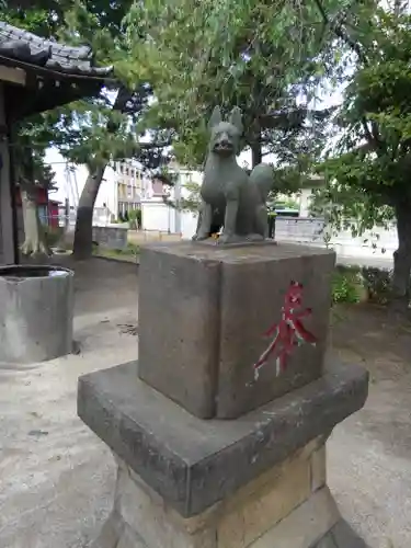 古新田稲荷神社の狛犬