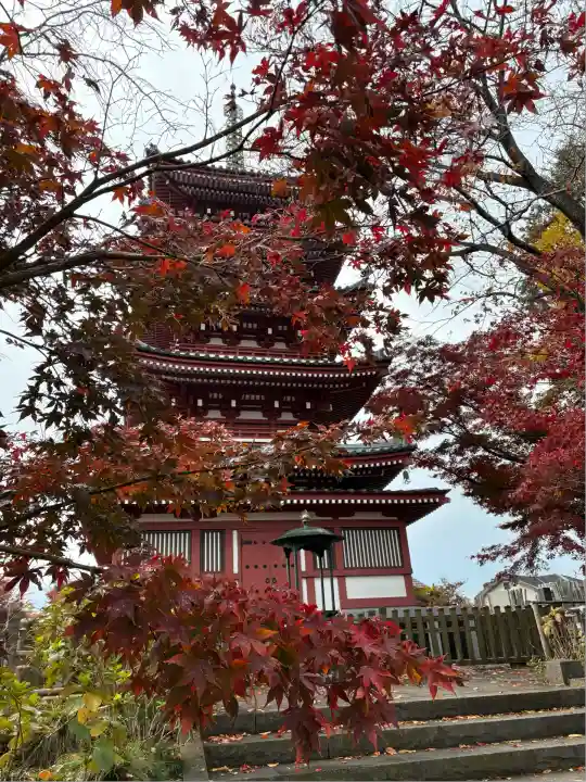 本土寺(千葉県)