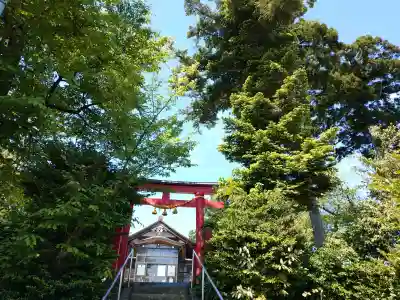 白山神社の{uncategorized: "未分類", other: "その他", undefined: "問題あり", building: "その他建物", grave: "お墓", sacred_gate: "鳥居", guardian: "狛犬", statue: "像", buddha: "仏像", history: "歴史", nature: "自然", garden: "庭園", animal: "動物", pagoda: "塔", temizu: "手水舎", mountain_gate: "山門・神門", sanctuary: "本殿・本堂", subordinate: "末社・摂社", art: "芸術", scenery: "景色", jizo: "地蔵", ema: "絵馬", goshuin: "御朱印", omikuji: "おみくじ", items: "授与品その他", amulet: "お守り", goshuincho: "御朱印帳", eats: "食事", festival: "お祭り", votive_dance: "神楽", shichigosan: "七五三参", wedding: "結婚式", experience: "体験その他", initially: "初詣", around: "周辺", anti_infection: "感染症対策"}