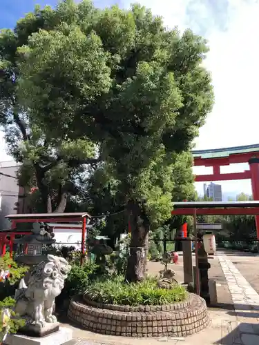 尼崎えびす神社の自然