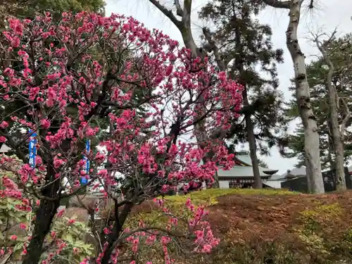 中野沼袋氷川神社(東京都)