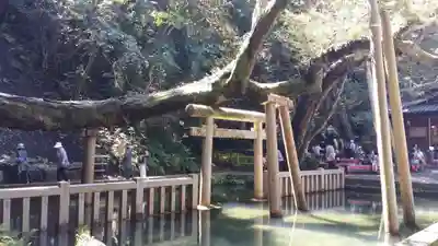 鹿島神宮(茨城県)