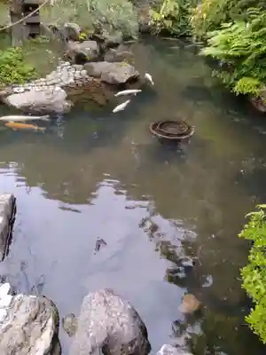 金蛇水神社(宮城県)