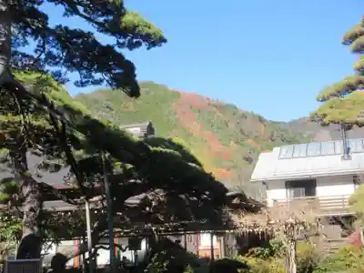 如来寺(山梨県)