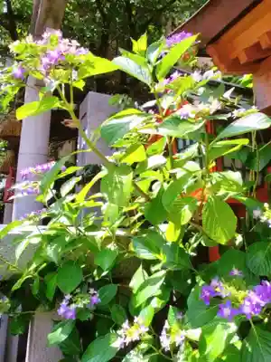 十番稲荷神社(東京都)