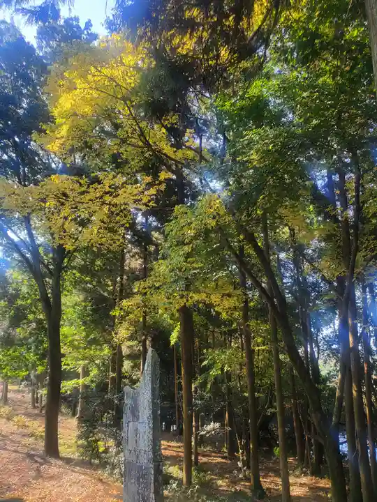 三蔵神社(茨城県)