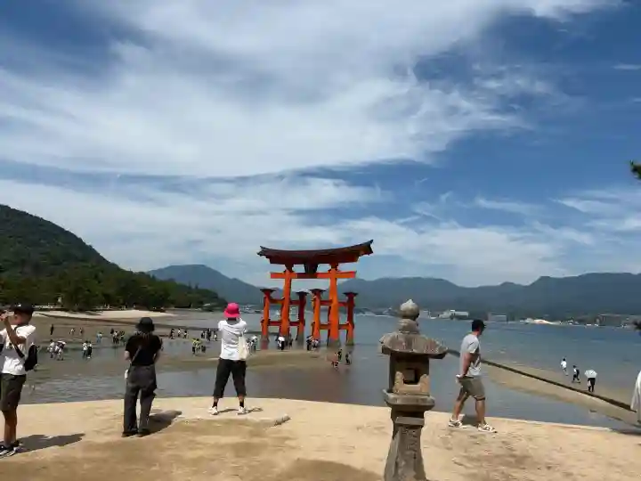 厳島神社の{uncategorized: "未分類", other: "その他", undefined: "問題あり", building: "その他建物", grave: "お墓", sacred_gate: "鳥居", guardian: "狛犬", statue: "像", buddha: "仏像", history: "歴史", nature: "自然", garden: "庭園", animal: "動物", pagoda: "塔", temizu: "手水舎", mountain_gate: "山門・神門", sanctuary: "本殿・本堂", subordinate: "末社・摂社", art: "芸術", scenery: "景色", jizo: "地蔵", ema: "絵馬", goshuin: "御朱印", omikuji: "おみくじ", items: "授与品その他", amulet: "お守り", goshuincho: "御朱印帳", eats: "食事", festival: "お祭り", votive_dance: "神楽", shichigosan: "七五三参", wedding: "結婚式", experience: "体験その他", initially: "初詣", around: "周辺", anti_infection: "感染症対策"}