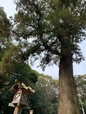 月夜見宮（豊受大神宮別宮）の{uncategorized: "未分類", other: "その他", undefined: "問題あり", building: "その他建物", grave: "お墓", sacred_gate: "鳥居", guardian: "狛犬", statue: "像", buddha: "仏像", history: "歴史", nature: "自然", garden: "庭園", animal: "動物", pagoda: "塔", temizu: "手水舎", mountain_gate: "山門・神門", sanctuary: "本殿・本堂", subordinate: "末社・摂社", art: "芸術", scenery: "景色", jizo: "地蔵", ema: "絵馬", goshuin: "御朱印", omikuji: "おみくじ", items: "授与品その他", amulet: "お守り", goshuincho: "御朱印帳", eats: "食事", festival: "お祭り", votive_dance: "神楽", shichigosan: "七五三参", wedding: "結婚式", experience: "体験その他", initially: "初詣", around: "周辺", anti_infection: "感染症対策"}
