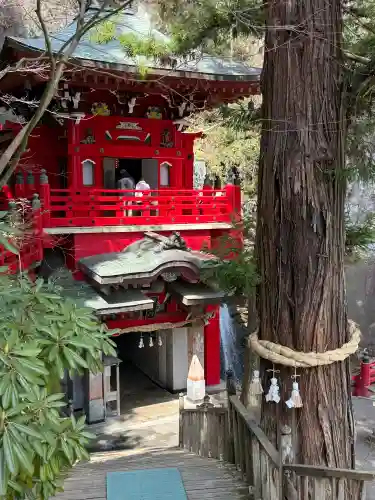 大正寺(中野不動尊)の{uncategorized: "未分類", other: "その他", undefined: "問題あり", building: "その他建物", grave: "お墓", sacred_gate: "鳥居", guardian: "狛犬", statue: "像", buddha: "仏像", history: "歴史", nature: "自然", garden: "庭園", animal: "動物", pagoda: "塔", temizu: "手水舎", mountain_gate: "山門・神門", sanctuary: "本殿・本堂", subordinate: "末社・摂社", art: "芸術", scenery: "景色", jizo: "地蔵", ema: "絵馬", goshuin: "御朱印", omikuji: "おみくじ", items: "授与品その他", amulet: "お守り", goshuincho: "御朱印帳", eats: "食事", festival: "お祭り", votive_dance: "神楽", shichigosan: "七五三参", wedding: "結婚式", experience: "体験その他", initially: "初詣", around: "周辺", anti_infection: "感染症対策"}