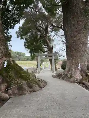 溝口竃門神社の{uncategorized: "未分類", other: "その他", undefined: "問題あり", building: "その他建物", grave: "お墓", sacred_gate: "鳥居", guardian: "狛犬", statue: "像", buddha: "仏像", history: "歴史", nature: "自然", garden: "庭園", animal: "動物", pagoda: "塔", temizu: "手水舎", mountain_gate: "山門・神門", sanctuary: "本殿・本堂", subordinate: "末社・摂社", art: "芸術", scenery: "景色", jizo: "地蔵", ema: "絵馬", goshuin: "御朱印", omikuji: "おみくじ", items: "授与品その他", amulet: "お守り", goshuincho: "御朱印帳", eats: "食事", festival: "お祭り", votive_dance: "神楽", shichigosan: "七五三参", wedding: "結婚式", experience: "体験その他", initially: "初詣", around: "周辺", anti_infection: "感染症対策"}