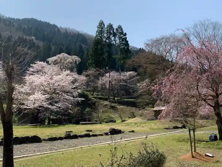 朝倉神社(福井県)