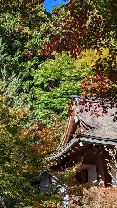 寂光院(京都府)