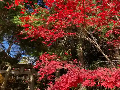 滑川神社 - 仕事と子どもの守り神の自然