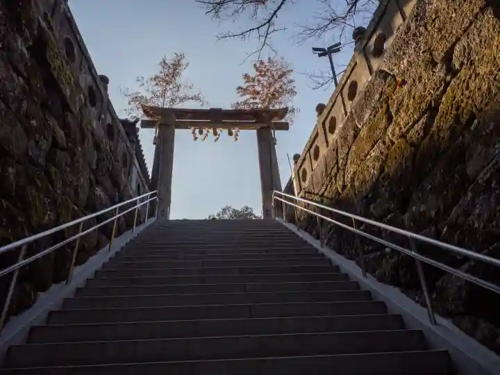 武雄神社の{uncategorized: "未分類", other: "その他", undefined: "問題あり", building: "その他建物", grave: "お墓", sacred_gate: "鳥居", guardian: "狛犬", statue: "像", buddha: "仏像", history: "歴史", nature: "自然", garden: "庭園", animal: "動物", pagoda: "塔", temizu: "手水舎", mountain_gate: "山門・神門", sanctuary: "本殿・本堂", subordinate: "末社・摂社", art: "芸術", scenery: "景色", jizo: "地蔵", ema: "絵馬", goshuin: "御朱印", omikuji: "おみくじ", items: "授与品その他", amulet: "お守り", goshuincho: "御朱印帳", eats: "食事", festival: "お祭り", votive_dance: "神楽", shichigosan: "七五三参", wedding: "結婚式", experience: "体験その他", initially: "初詣", around: "周辺", anti_infection: "感染症対策"}