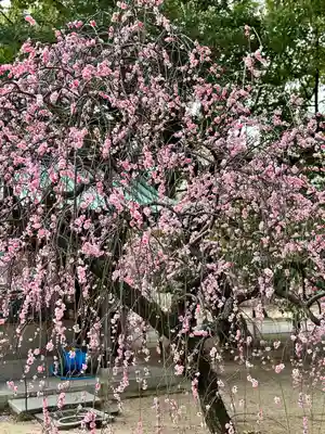 屯倉神社(大阪府)