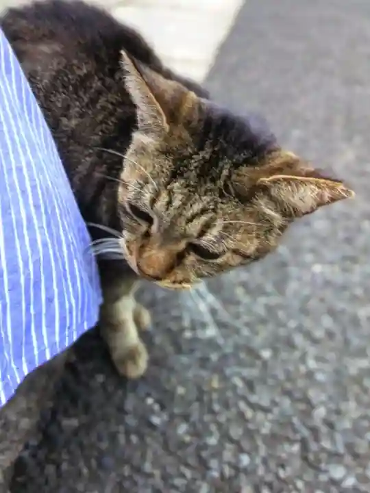 白金氷川神社(東京都)