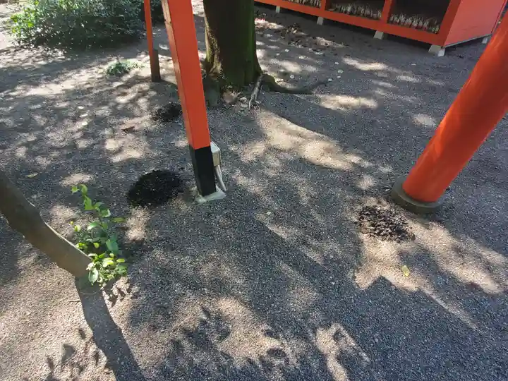 冠稲荷神社のその他建物