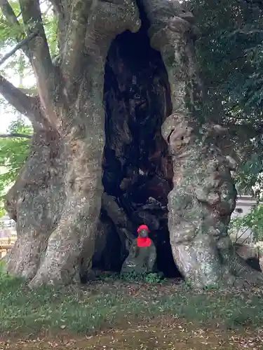 高源寺(茨城県)