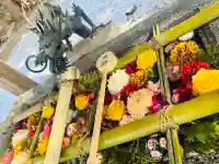 正一位 若草稲荷神社の{uncategorized: "未分類", other: "その他", undefined: "問題あり", building: "その他建物", grave: "お墓", sacred_gate: "鳥居", guardian: "狛犬", statue: "像", buddha: "仏像", history: "歴史", nature: "自然", garden: "庭園", animal: "動物", pagoda: "塔", temizu: "手水舎", mountain_gate: "山門・神門", sanctuary: "本殿・本堂", subordinate: "末社・摂社", art: "芸術", scenery: "景色", jizo: "地蔵", ema: "絵馬", goshuin: "御朱印", omikuji: "おみくじ", items: "授与品その他", amulet: "お守り", goshuincho: "御朱印帳", eats: "食事", festival: "お祭り", votive_dance: "神楽", shichigosan: "七五三参", wedding: "結婚式", experience: "体験その他", initially: "初詣", around: "周辺", anti_infection: "感染症対策"}