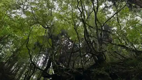 水神社(宮城県)