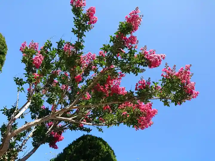 極楽山 浄土寺の自然