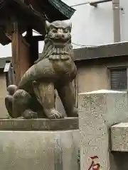 吉原神社の狛犬