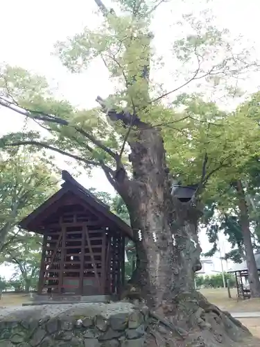 川中島古戦場八幡社の本殿