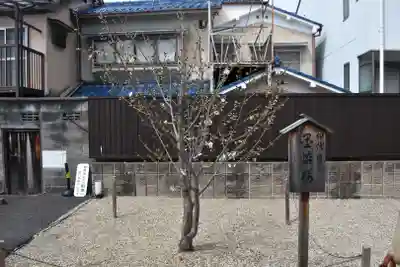 墨染寺（桜寺）(京都府)
