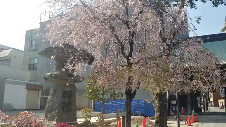 櫛田神社の自然