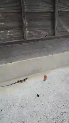 不動寺(埼玉県)