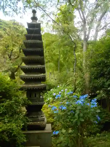 安國論寺（安国論寺）の塔