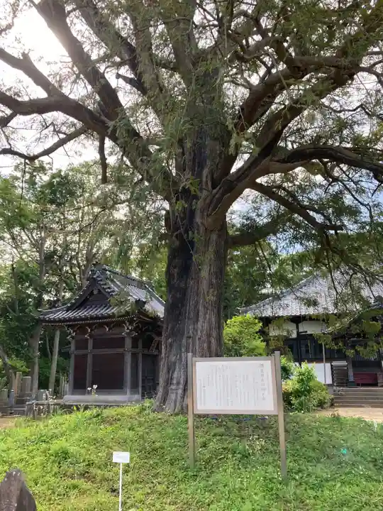 東源寺(千葉県)