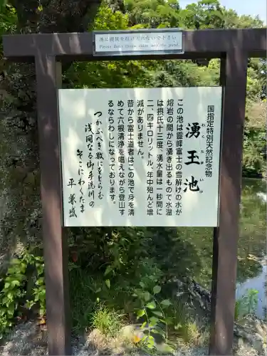 富士山本宮浅間大社(静岡県)