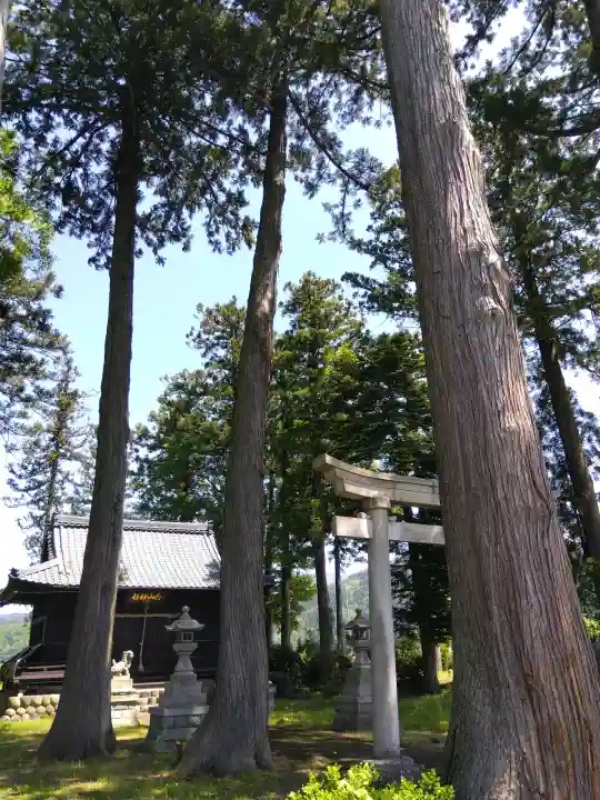 白山神社の{uncategorized: "未分類", other: "その他", undefined: "問題あり", building: "その他建物", grave: "お墓", sacred_gate: "鳥居", guardian: "狛犬", statue: "像", buddha: "仏像", history: "歴史", nature: "自然", garden: "庭園", animal: "動物", pagoda: "塔", temizu: "手水舎", mountain_gate: "山門・神門", sanctuary: "本殿・本堂", subordinate: "末社・摂社", art: "芸術", scenery: "景色", jizo: "地蔵", ema: "絵馬", goshuin: "御朱印", omikuji: "おみくじ", items: "授与品その他", amulet: "お守り", goshuincho: "御朱印帳", eats: "食事", festival: "お祭り", votive_dance: "神楽", shichigosan: "七五三参", wedding: "結婚式", experience: "体験その他", initially: "初詣", around: "周辺", anti_infection: "感染症対策"}