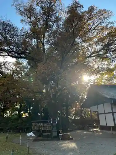 武田神社の自然