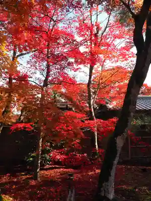 宝厳院(京都府)