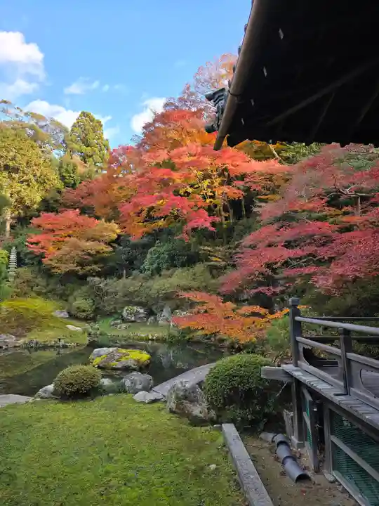 青蓮院門跡(京都府)