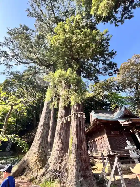 日枝神社(静岡県)