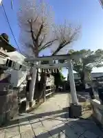 龍ケ崎八坂神社の{uncategorized: "未分類", other: "その他", undefined: "問題あり", building: "その他建物", grave: "お墓", sacred_gate: "鳥居", guardian: "狛犬", statue: "像", buddha: "仏像", history: "歴史", nature: "自然", garden: "庭園", animal: "動物", pagoda: "塔", temizu: "手水舎", mountain_gate: "山門・神門", sanctuary: "本殿・本堂", subordinate: "末社・摂社", art: "芸術", scenery: "景色", jizo: "地蔵", ema: "絵馬", goshuin: "御朱印", omikuji: "おみくじ", items: "授与品その他", amulet: "お守り", goshuincho: "御朱印帳", eats: "食事", festival: "お祭り", votive_dance: "神楽", shichigosan: "七五三参", wedding: "結婚式", experience: "体験その他", initially: "初詣", around: "周辺", anti_infection: "感染症対策"}