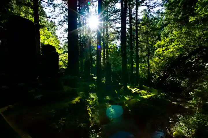 八海山尊神社の自然
