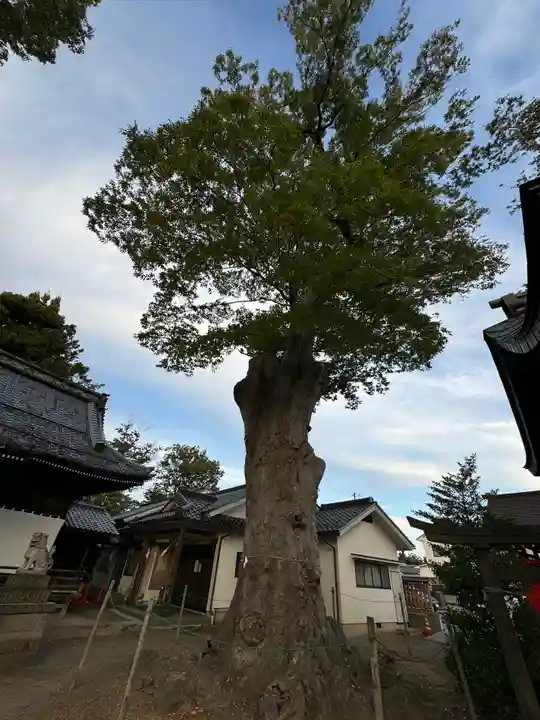 科野大宮社(長野県)