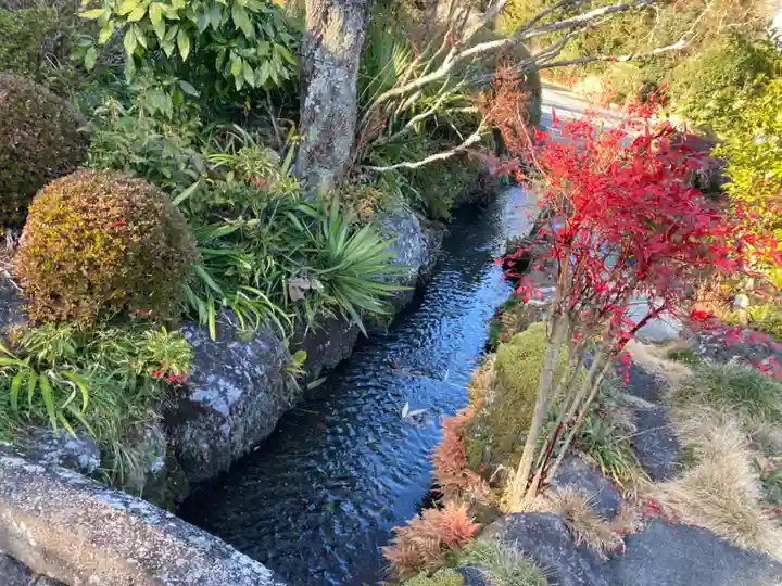 大雲院(静岡県)