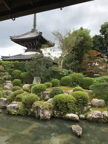 穴太寺の庭園